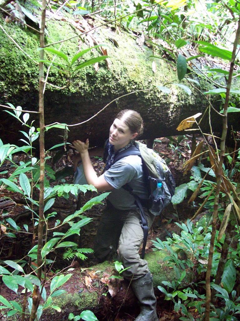 Transect work in the rainforest.